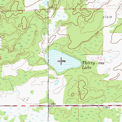 Topographic Map of Thirty-One Lake, MN