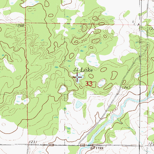 Topographic Map of Thirtythree Lake, MN