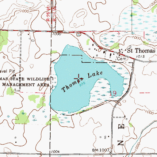 Topographic Map of Thomas Lake, MN