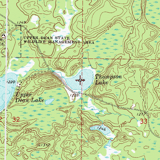 Topographic Map of Thompson Lake, MN