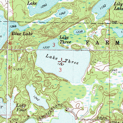 Topographic Map of Lake Three, MN