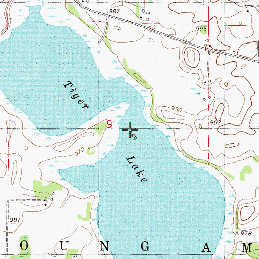 Topographic Map of Tiger Lake, MN