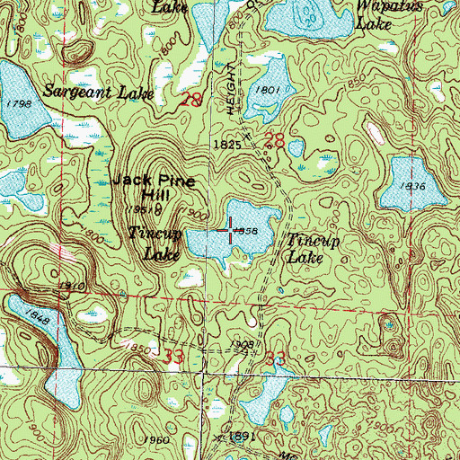 Topographic Map of Tincup Lake, MN
