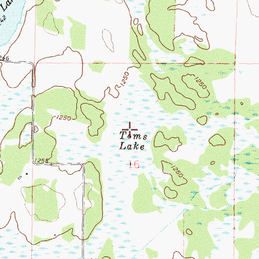 Topographic Map of Toms Lake, MN