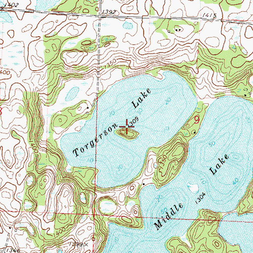 Topographic Map of Torgerson Lake, MN