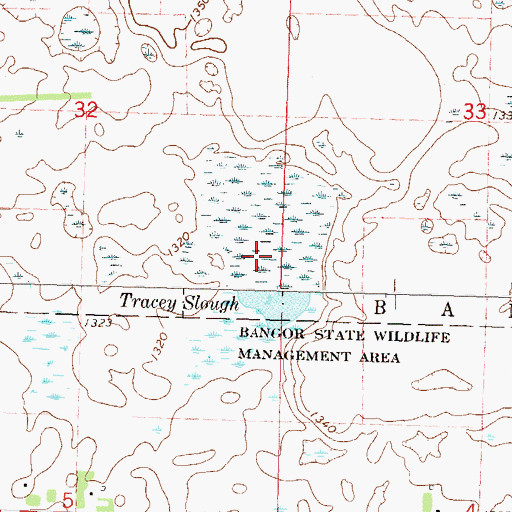 Topographic Map of Tracey Slough, MN