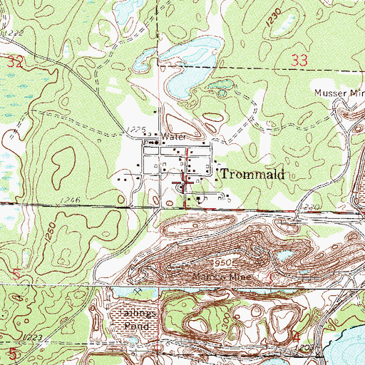 Topographic Map of Trommald, MN