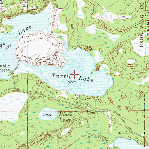 Topographic Map of Turtle Lake, MN