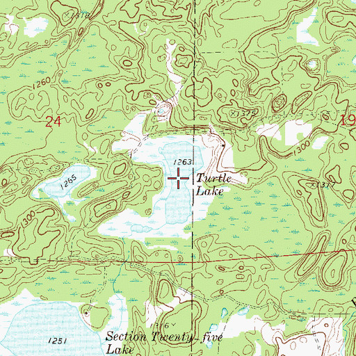 Topographic Map of Turtle Lake, MN