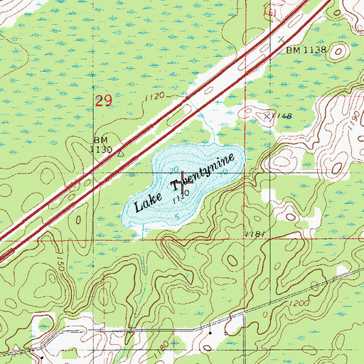 Topographic Map of Lake Twentynine, MN