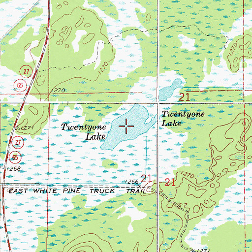 Topographic Map of Twentyone Lake, MN