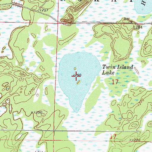 Topographic Map of Twin Island Lake, MN
