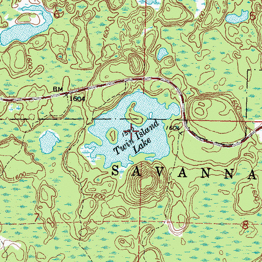 Topographic Map of Twin Island Lake, MN