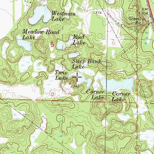 Topographic Map of Twin Lake, MN