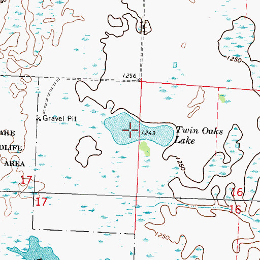 Topographic Map of Twin Oaks Lake, MN