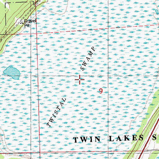 Topographic Map of Twistal Swamp, MN