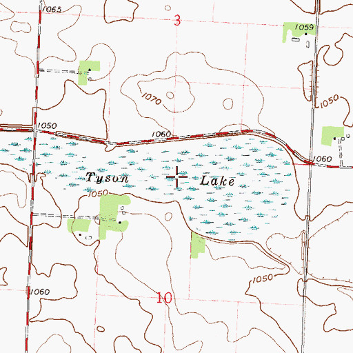 Topographic Map of Tyson Lake, MN