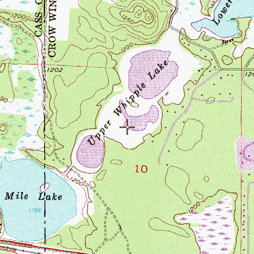 Topographic Map of Upper Whipple Lake, MN