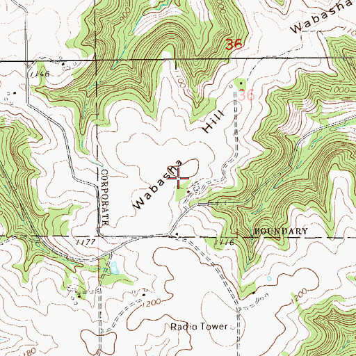 Topographic Map of Wabasha Hill, MN