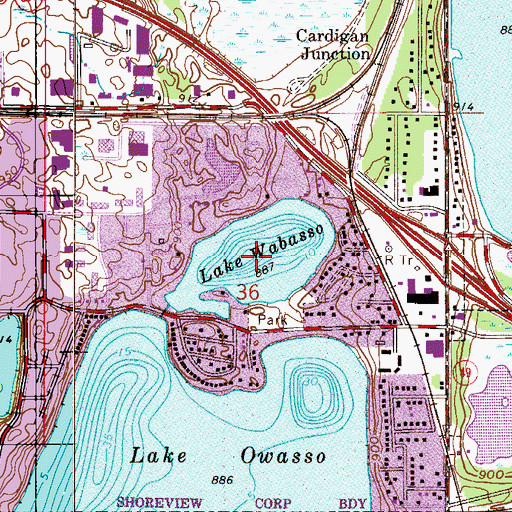 Topographic Map of Lake Wabasso, MN
