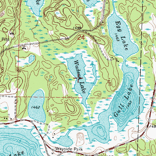 Topographic Map of Wadena Lake, MN