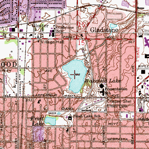 Topographic Map of Wakefield Lake, MN