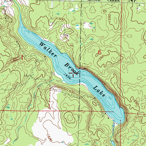 Topographic Map of Walker Brook Lake, MN
