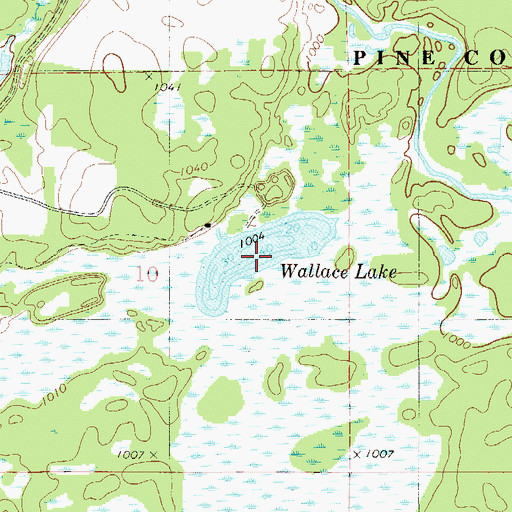 Topographic Map of Wallace Lake, MN