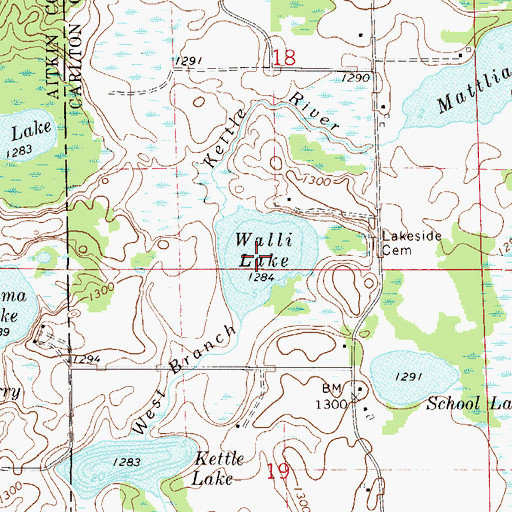 Topographic Map of Walli Lake, MN