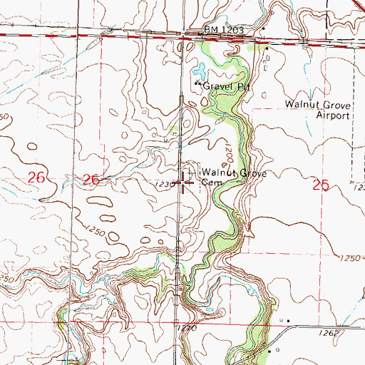 Topographic Map of Walnut Grove Cemetery, MN
