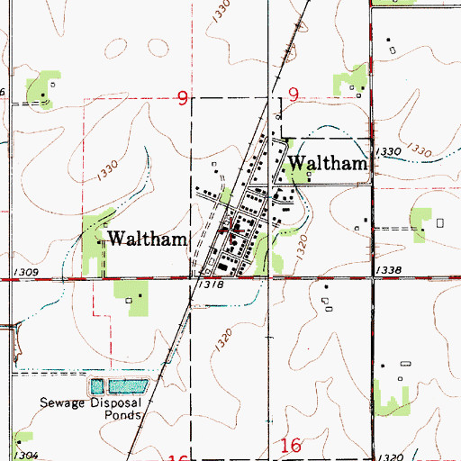 Topographic Map of Waltham, MN