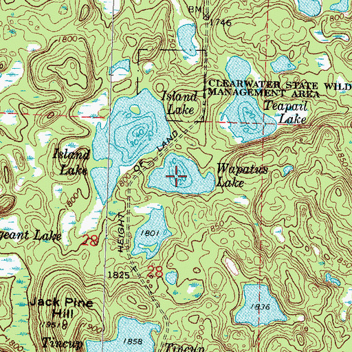 Topographic Map of Wapatus Lake, MN