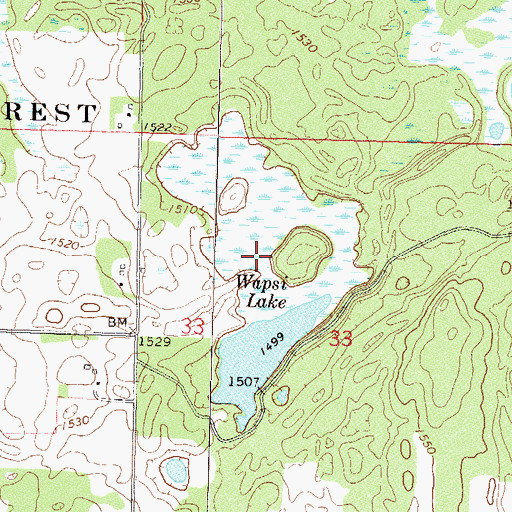 Topographic Map of Wapsi Lake, MN