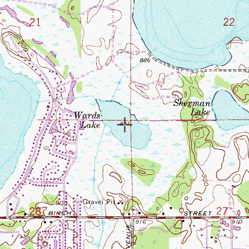 Topographic Map of Wards Lake, MN