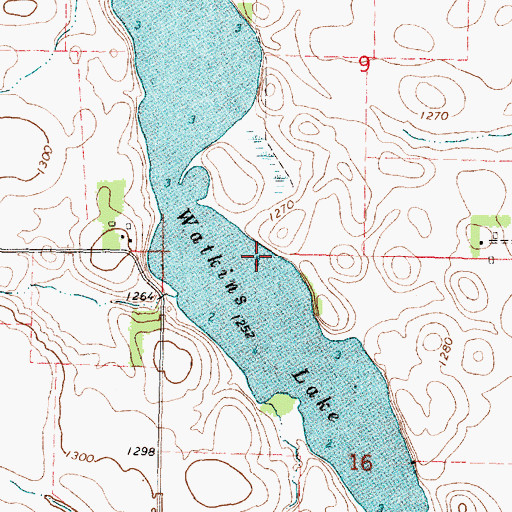 Topographic Map of Watkins Lake, MN