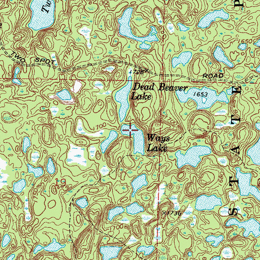 Topographic Map of Ways Lake, MN