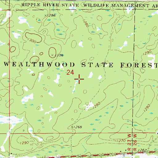 Topographic Map of Wealthwood State Forest, MN