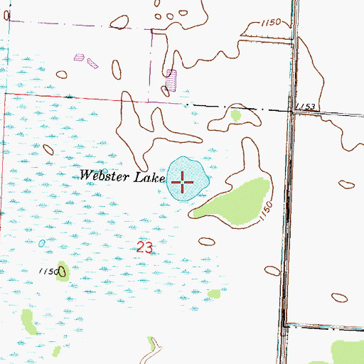 Topographic Map of Webster Lake, MN