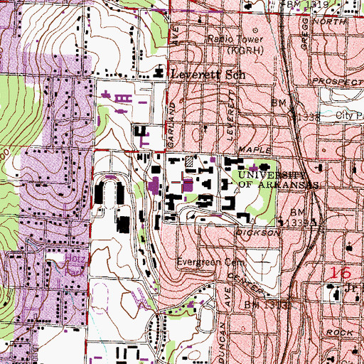 Topographic Map of Mullins Library, AR
