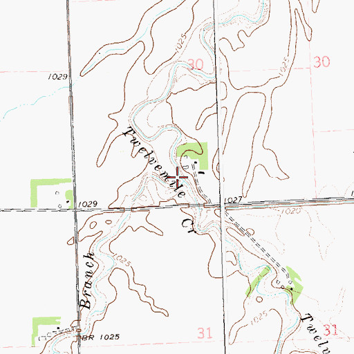 Topographic Map of West Branch Twelvemile Creek, MN