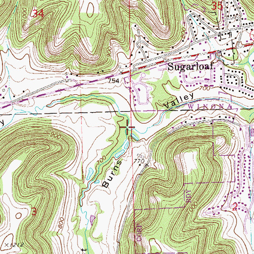 Topographic Map of West Burns Valley, MN