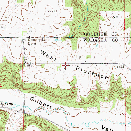 Topographic Map of West Florence Ridge, MN