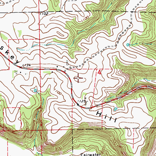 Topographic Map of Whiskey Hill, MN