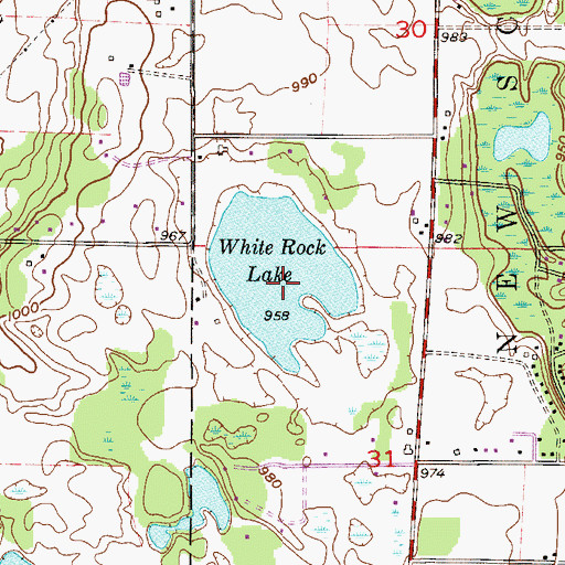 Topographic Map of White Rock Lake, MN