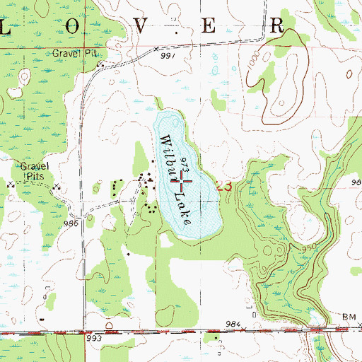 Topographic Map of Wilbur Lake, MN