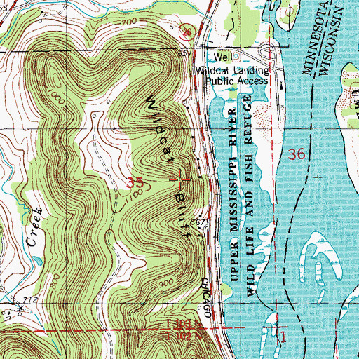 Topographic Map of Wildcat Bluff, MN
