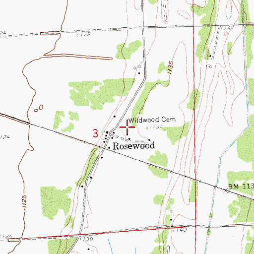 Topographic Map of Wildwood Cemetery, MN