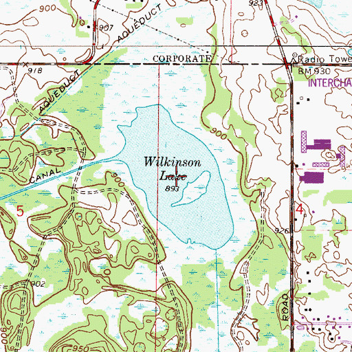 Topographic Map of Wilkinson Lake, MN