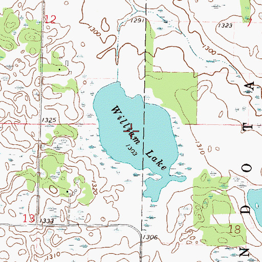 Topographic Map of William Lake, MN
