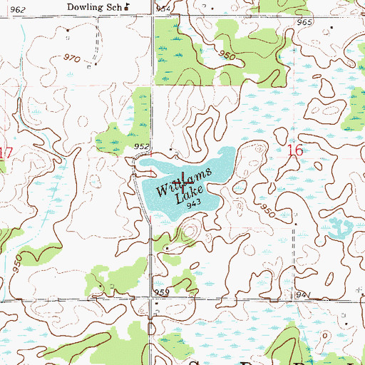 Topographic Map of Williams Lake, MN
